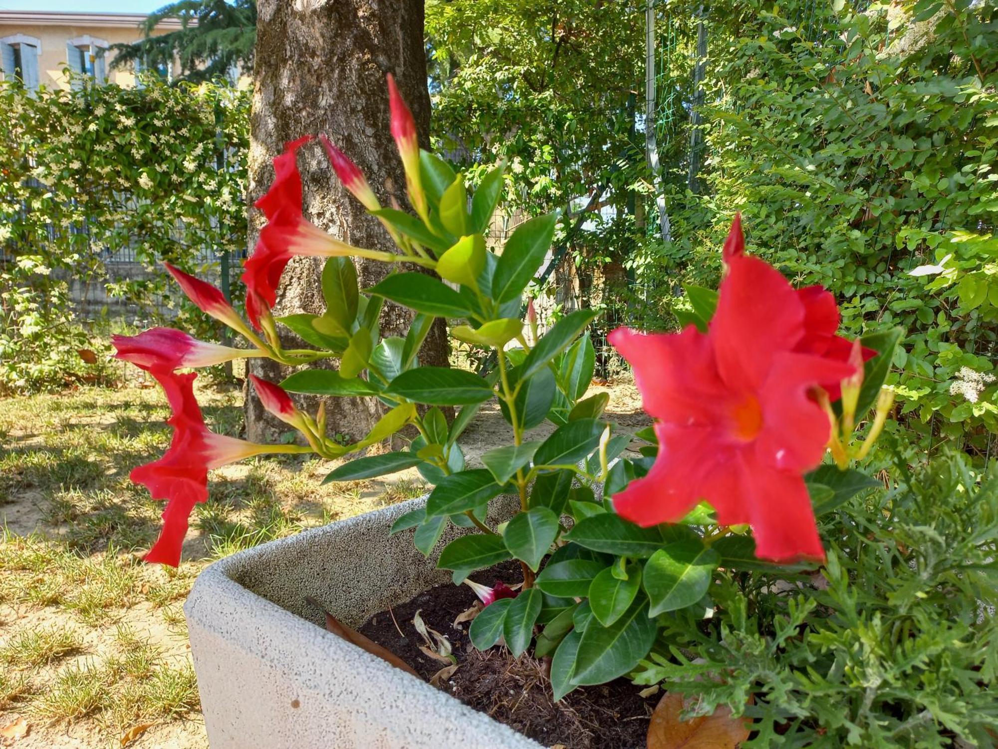 Appartamento Le Magnolie 2 Mestre Luaran gambar