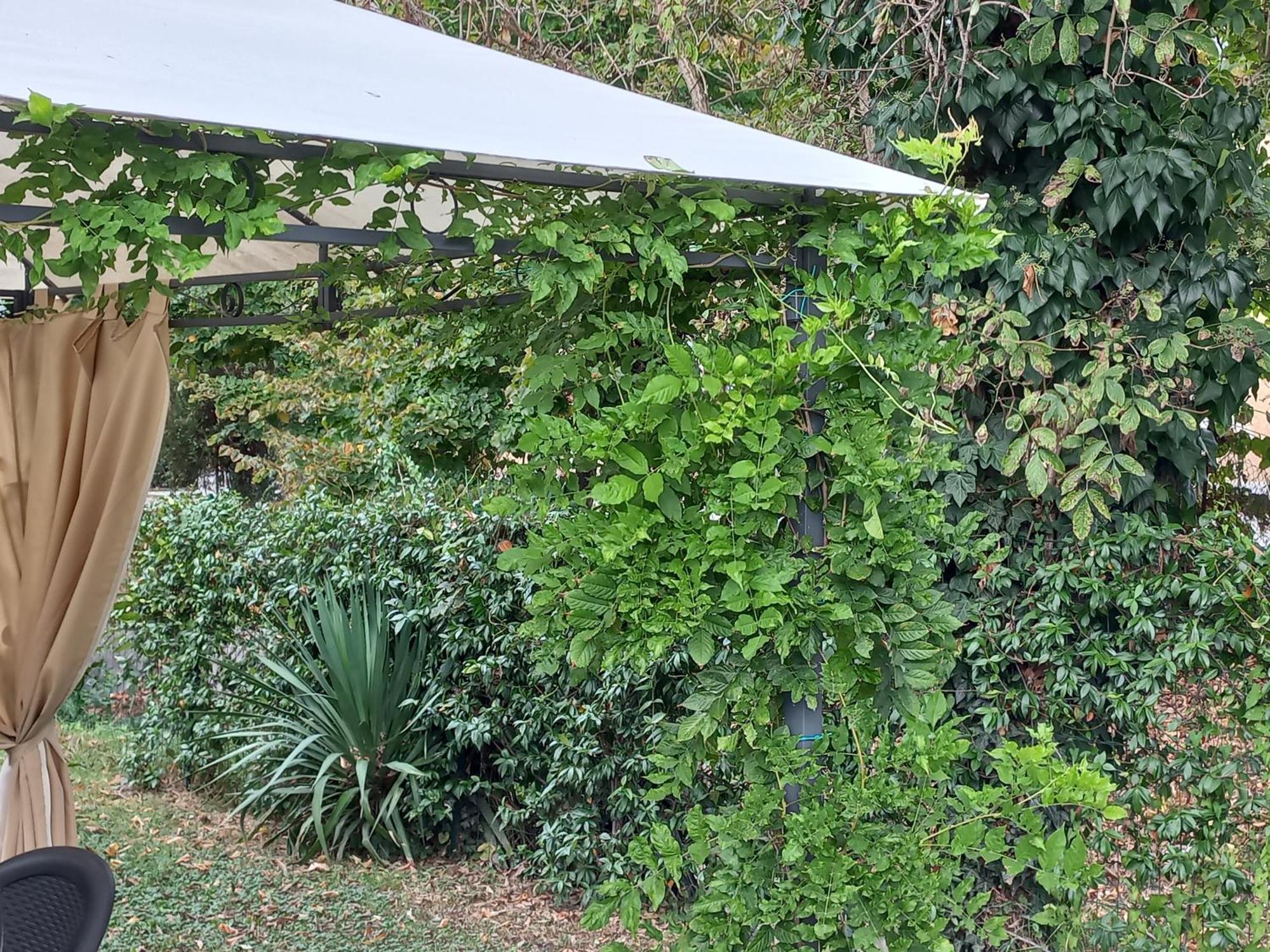 Appartamento Le Magnolie 2 Mestre Luaran gambar