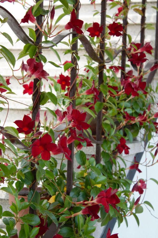 Appartamento Le Magnolie 2 Mestre Luaran gambar