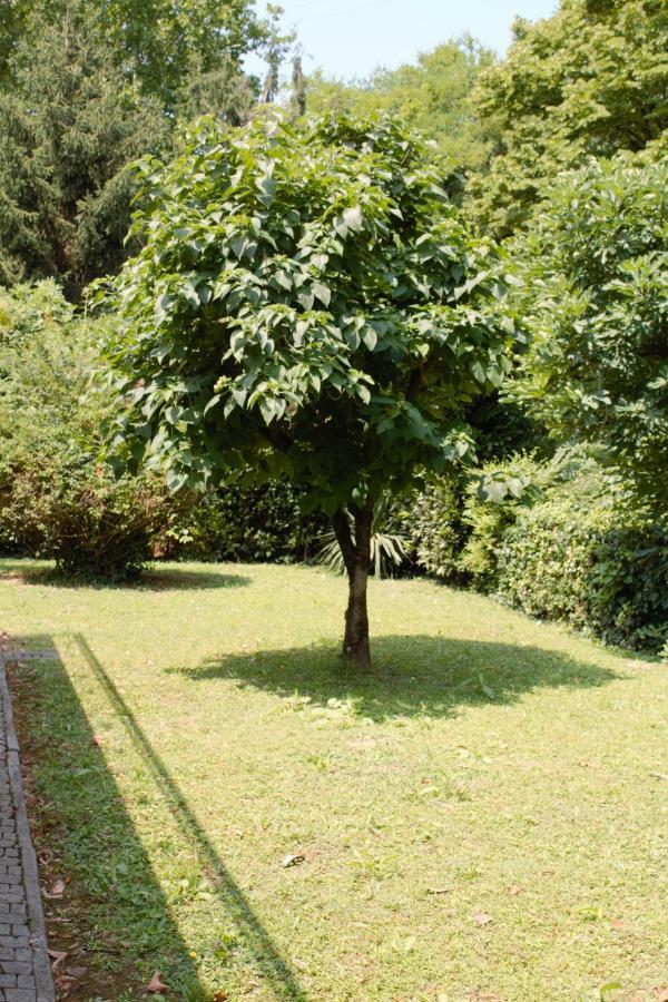 Appartamento Le Magnolie 2 Mestre Luaran gambar